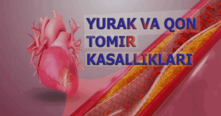 yurak ve qon kasalliklari