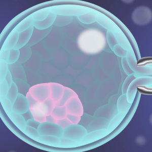 PGT / PGD в Турции – генетическое тестирование эмбрионов перед переносом