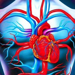 Yurak-qon tomir kasalliklari nima?