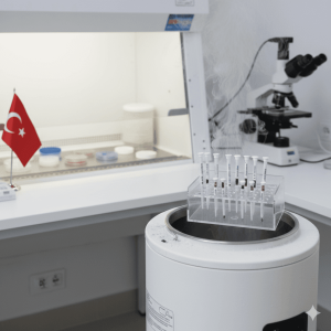 Криоконсервация эмбрионов в Турции – сохранить шанс на беременность на будущее